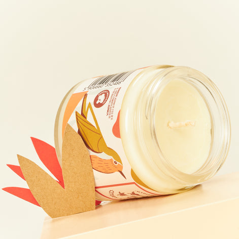 Robin - spicy soy candle