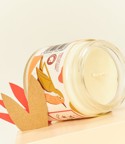 Robin - spicy soy candle