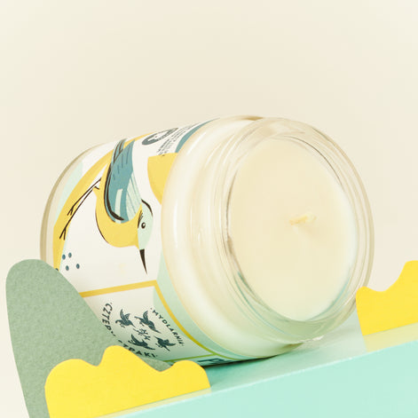 Wagtail - citrus soy candle