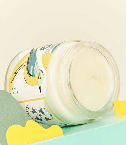 Wagtail - citrus soy candle