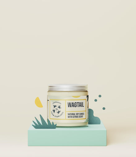 Wagtail - citrus soy candle